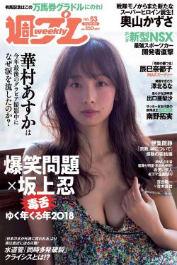 杨门女将之穆桂英挂帅